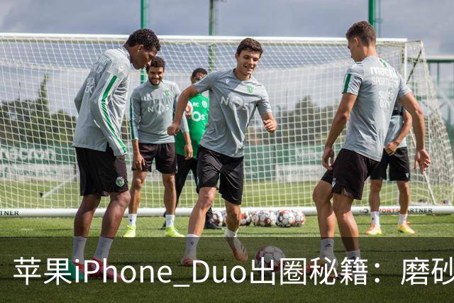苹果iPhone Duo出圈秘籍：磨砂膜也能当英雄！